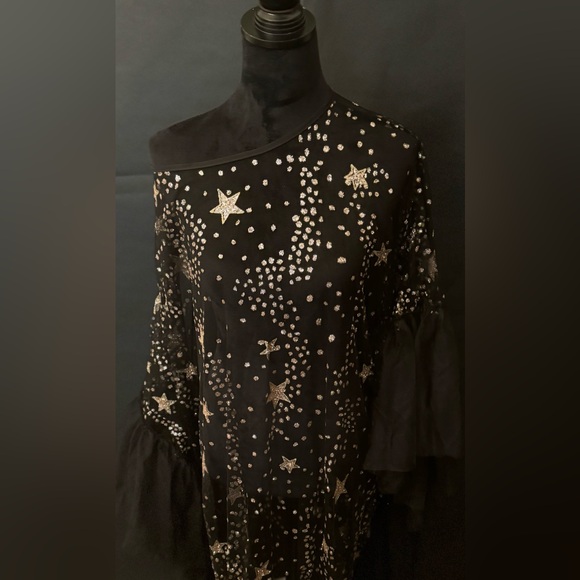 Black Starry Mesh Dress - Picture 3 of 4